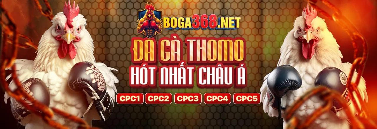 Các chương trình khuyến mãi thể thao độc quyền tại luck8885